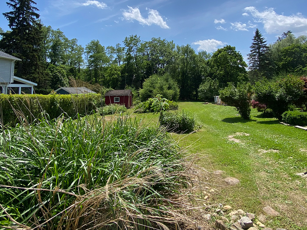 A view from the front of the lot