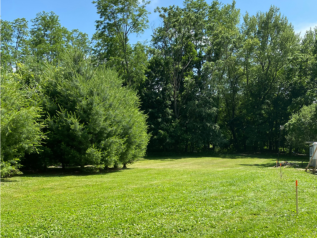 A view showing one side of the lot boundary.