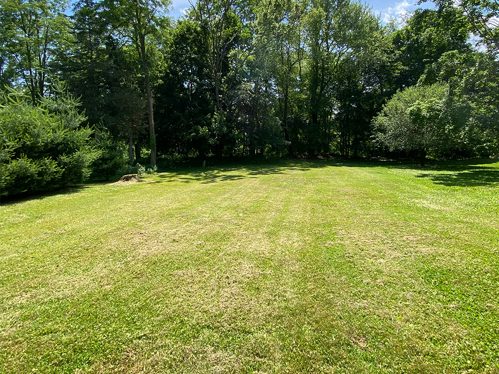 A view showing the lot from the middle to the river.