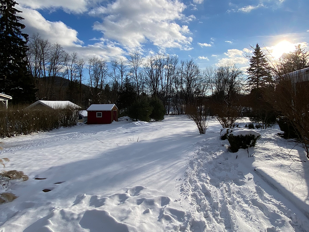 A view of the lot in the winter