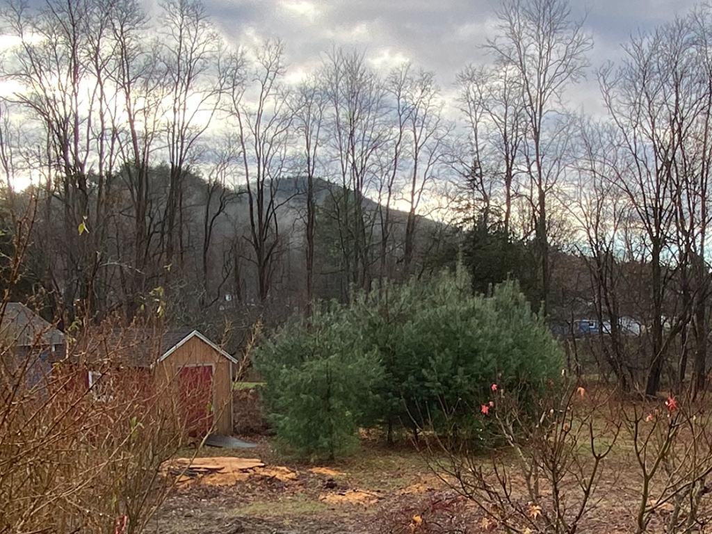 Lot views in the late Fall.
