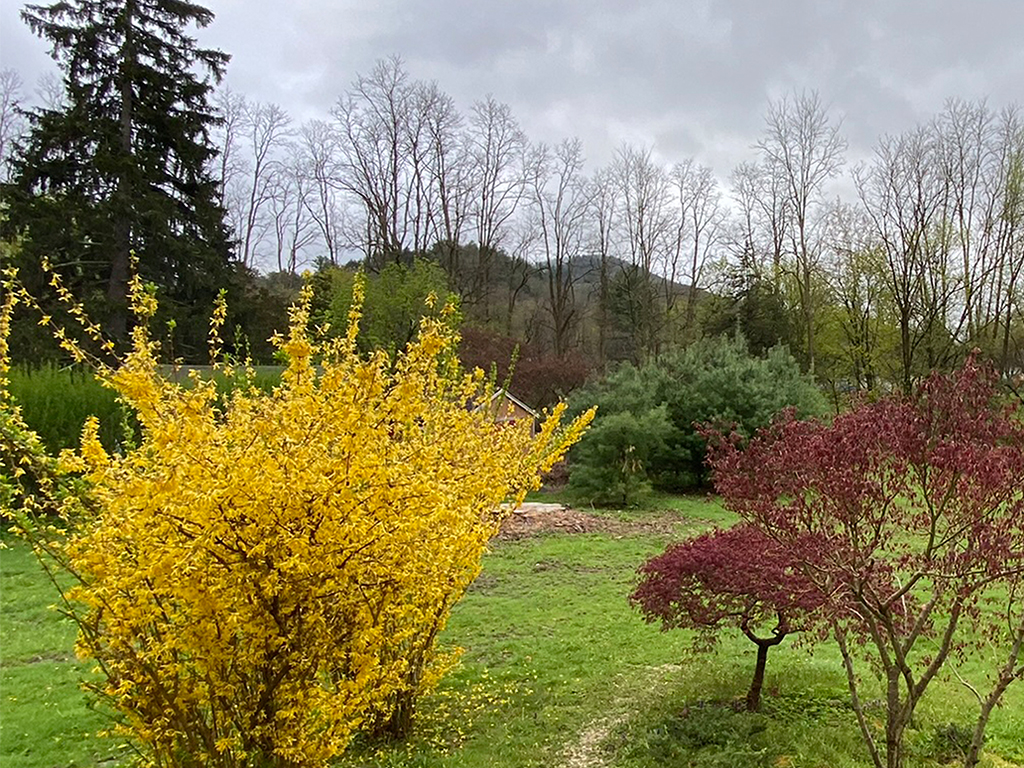 Lot views in the early Spring